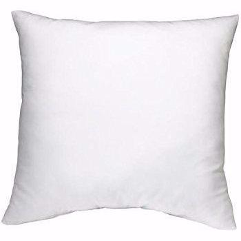 Throw Pillow Insert 18" Square / Feather
